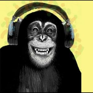 Meet your Posher, Minimonkeyplay